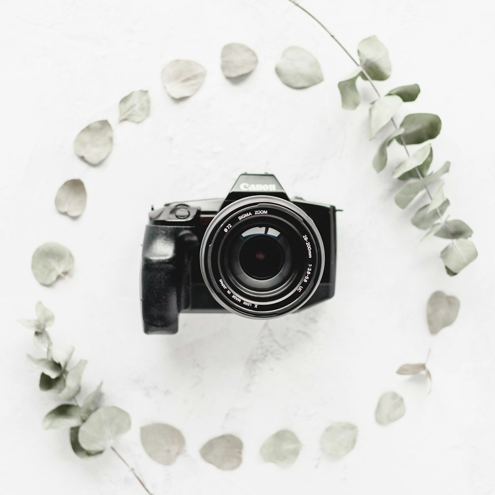 Professional camera surrounded by leaves