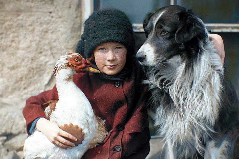 AI-colorized version with vibrant, natural colors